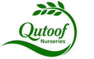 Qutoof Nurseries
